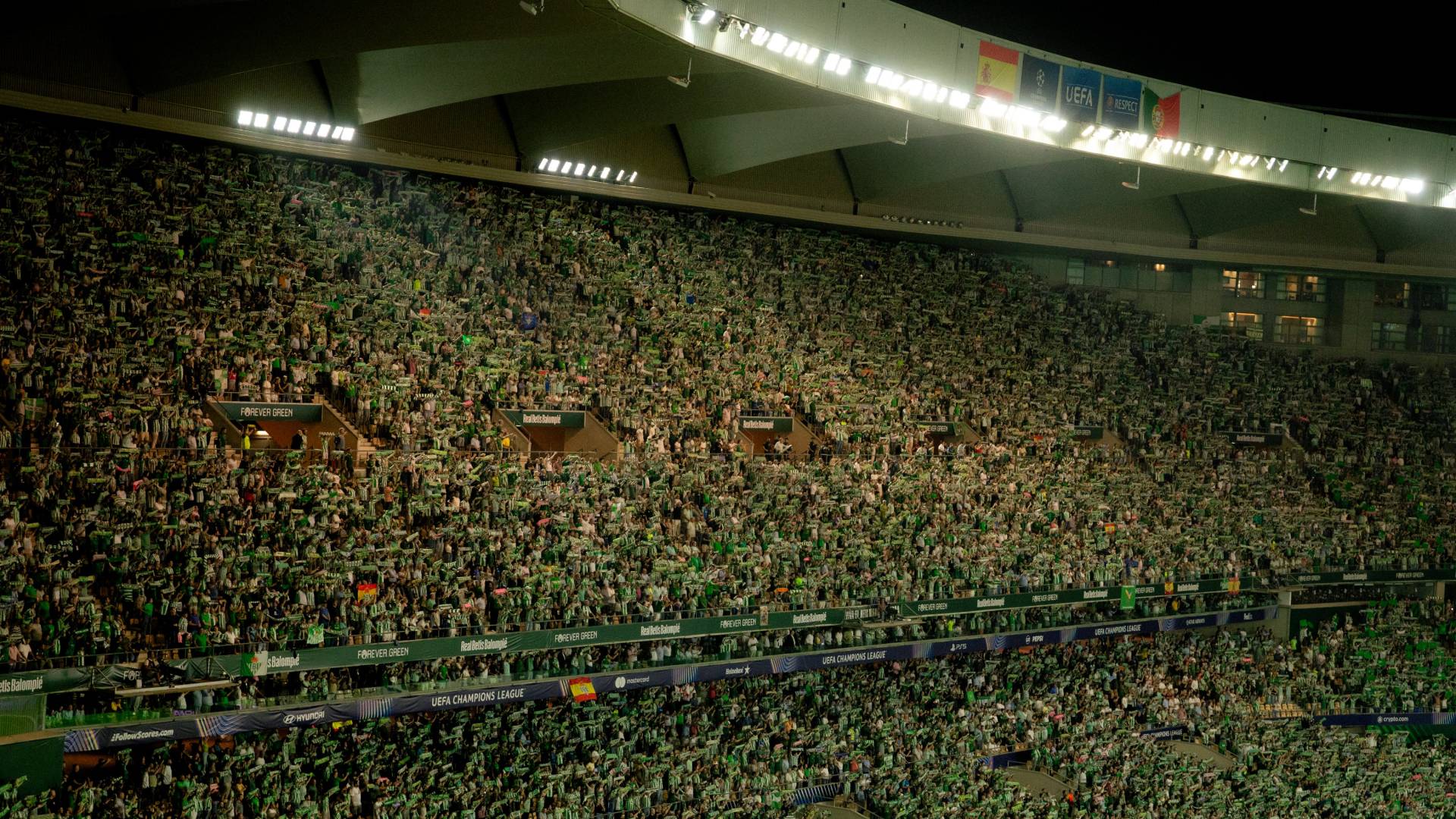 Fiesta verdiblanca tras el trepidante triunfo de Champions: «El Betis es la vida»