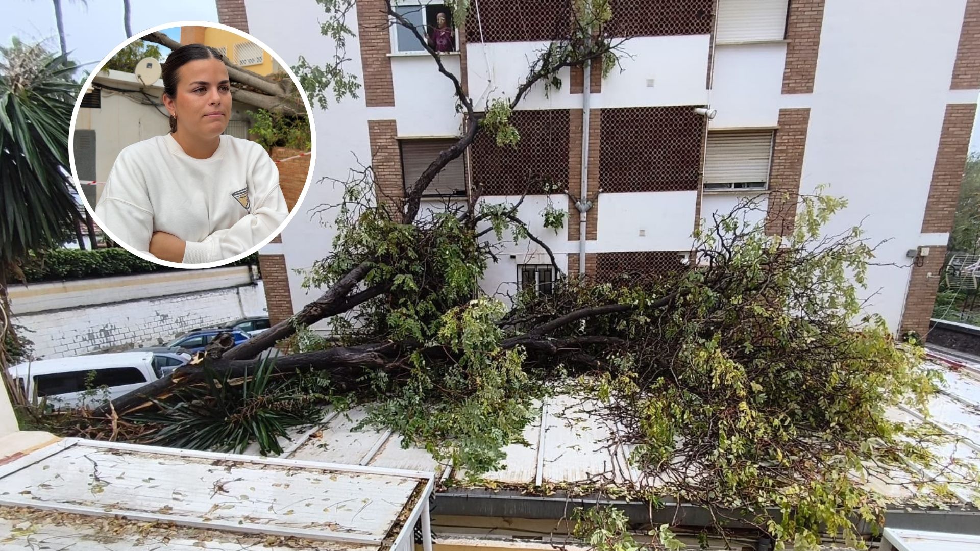 Un espacio infantil de El Palo, obligado a cerrar tras la caída de un árbol durante la dana: «Ahora mismo son pérdidas»
