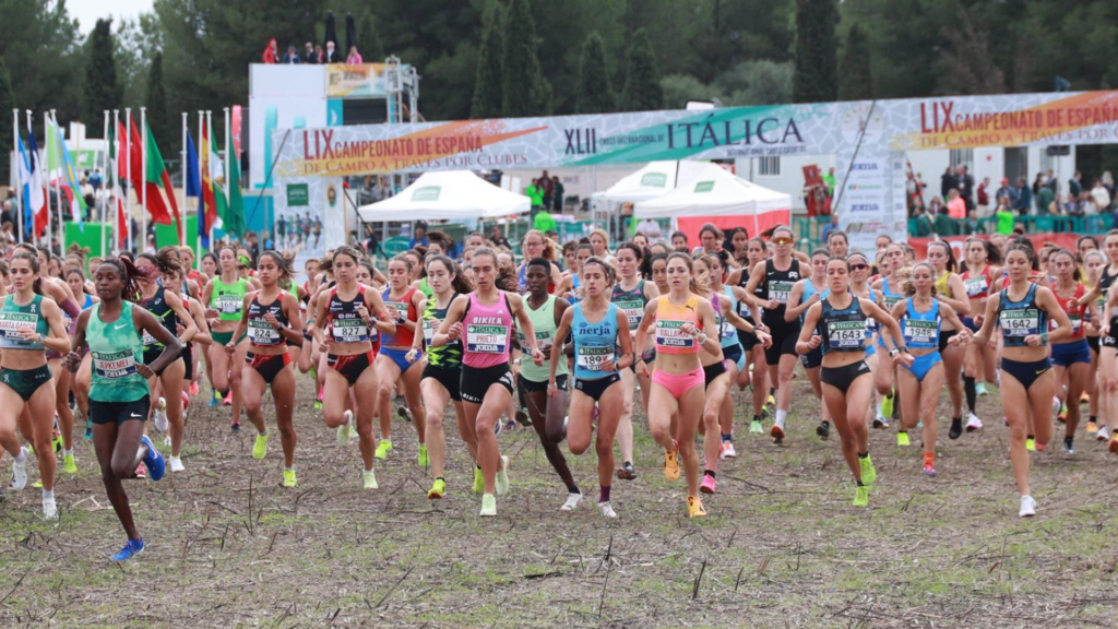 El Cross de Itálica 2026 estrena formato para sus jornadas técnicas: fechas, horarios e inscripción gratuita