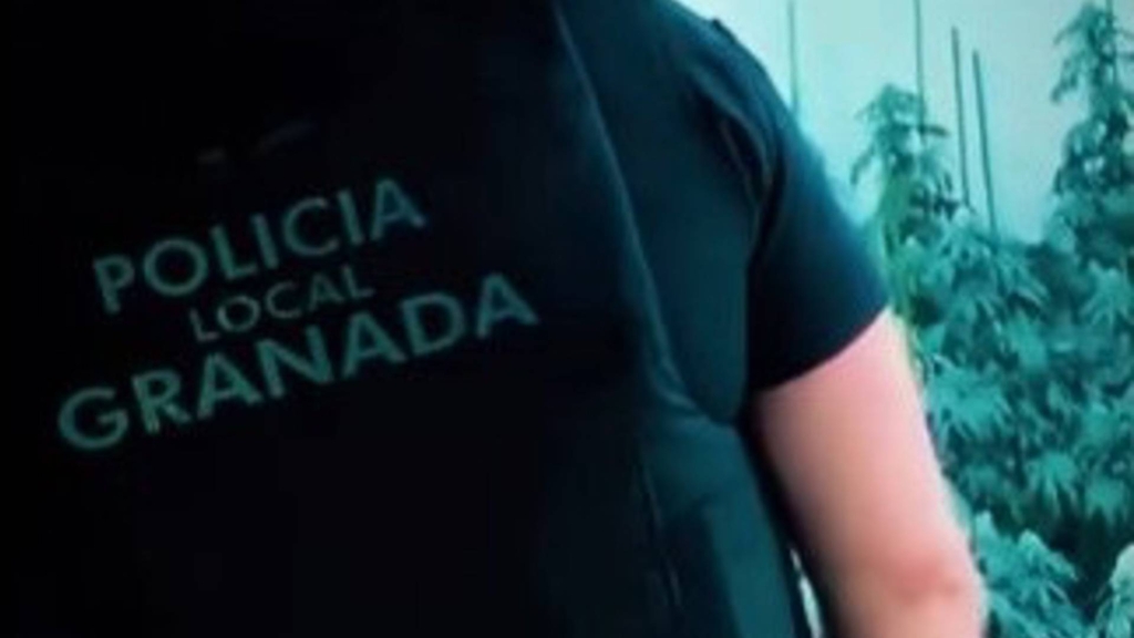 Detenidos dos sexagenarios en Granada con una plantación ‘indoor’ de 110 plantas de marihuana
