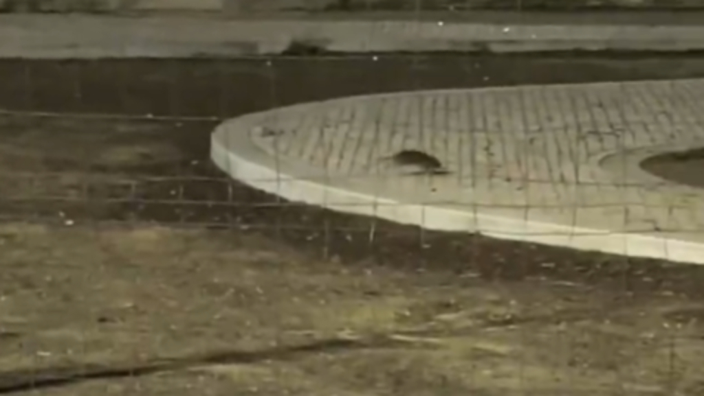 Las ratas campan a sus anchas por Sevilla: los vecinos denuncian que el veneno es insuficiente