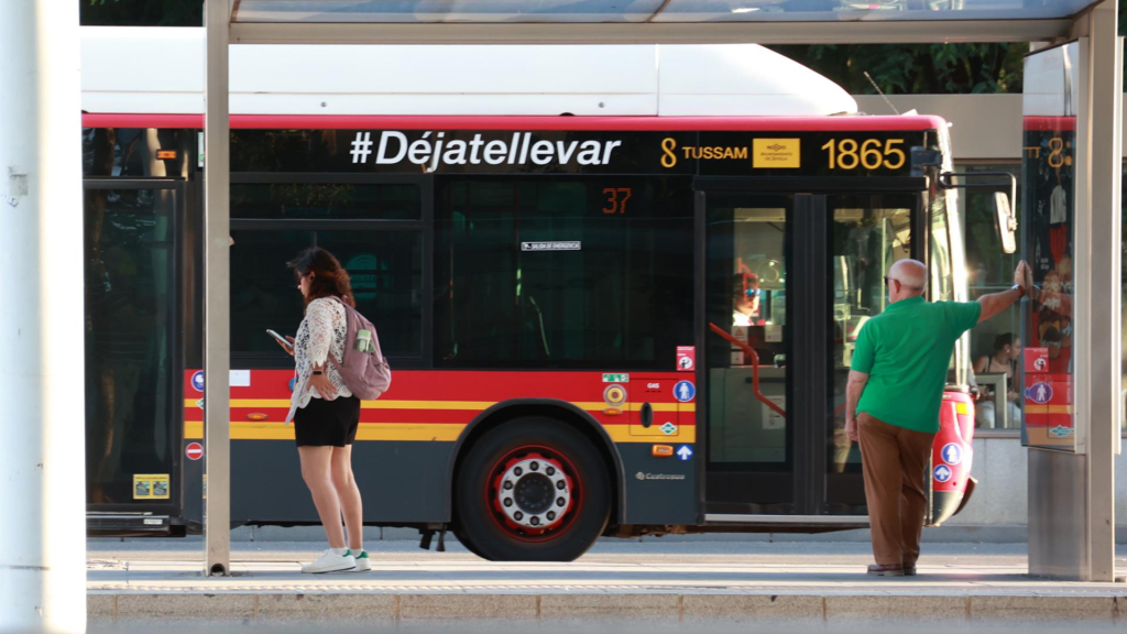 Sevilla refuerza los autobuses al cementerio por el día de Todos los Santos: líneas, horarios y frecuencias
